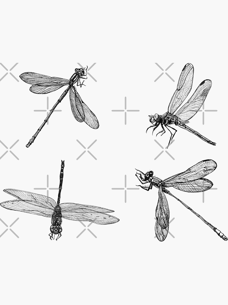 Dragonfly x 4 stickers by Wildcard-Sue