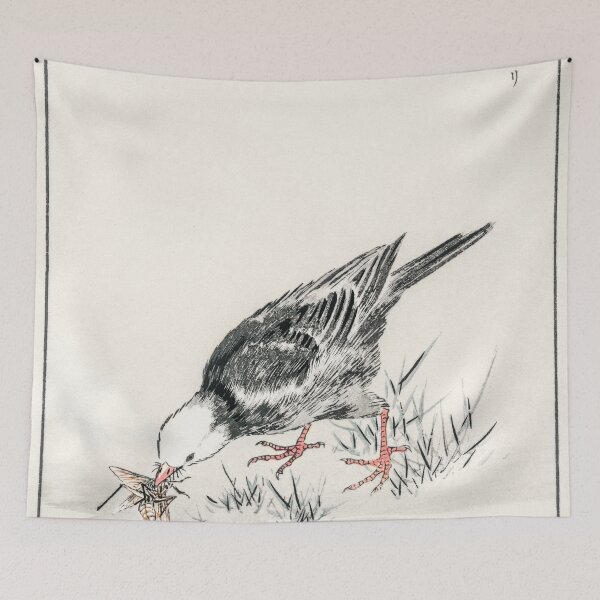 Artikelvorschau, braune ohrbulbul illustration 42664064684 entworfen und verkauft von Bird-Lore.