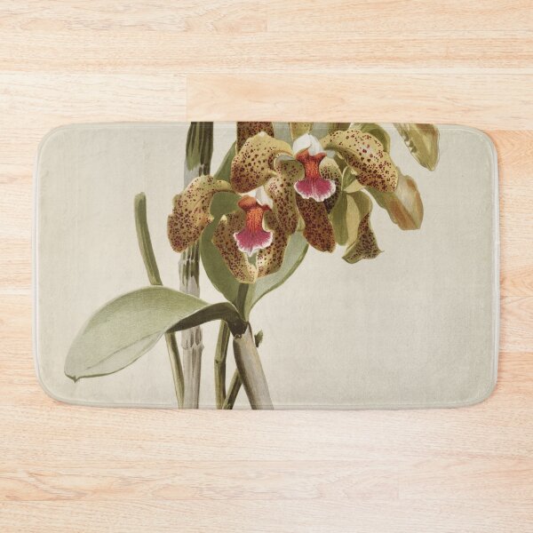Item preview, Reichenbachia: Orchids Illustrated and Described designed and sold by EsotericBotanic.