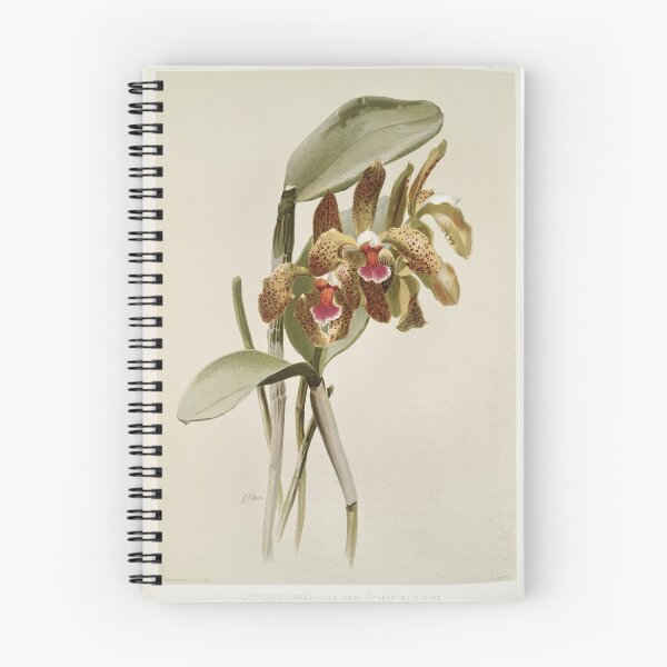 Item preview, Reichenbachia: Orchids Illustrated and Described designed and sold by EsotericBotanic.
