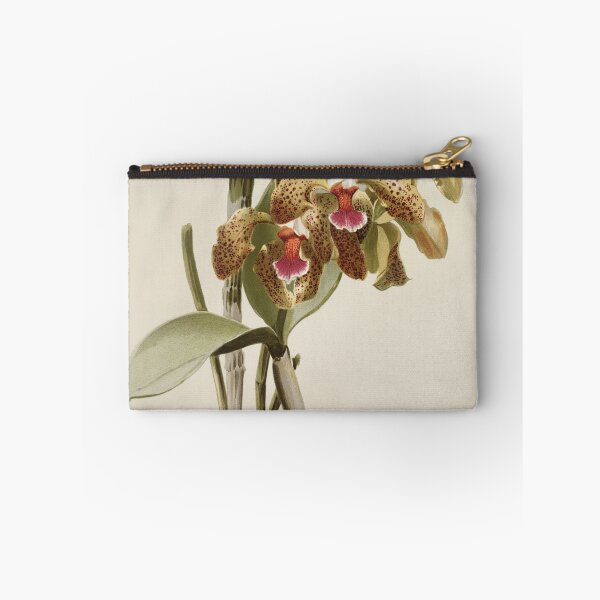 Item preview, Reichenbachia: Orchids Illustrated and Described designed and sold by EsotericBotanic.