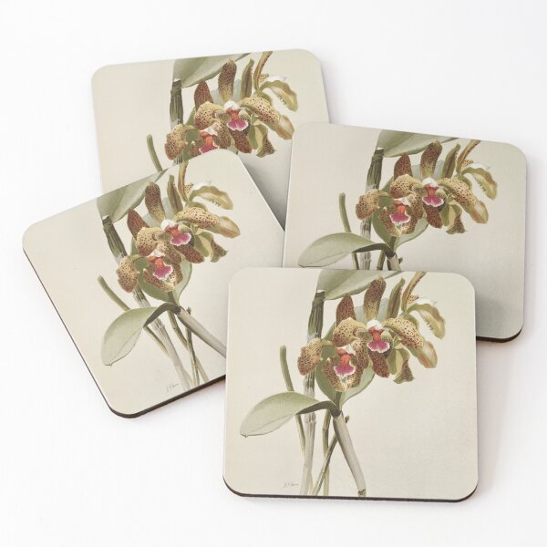 Item preview, Reichenbachia: Orchids Illustrated and Described designed and sold by EsotericBotanic.
