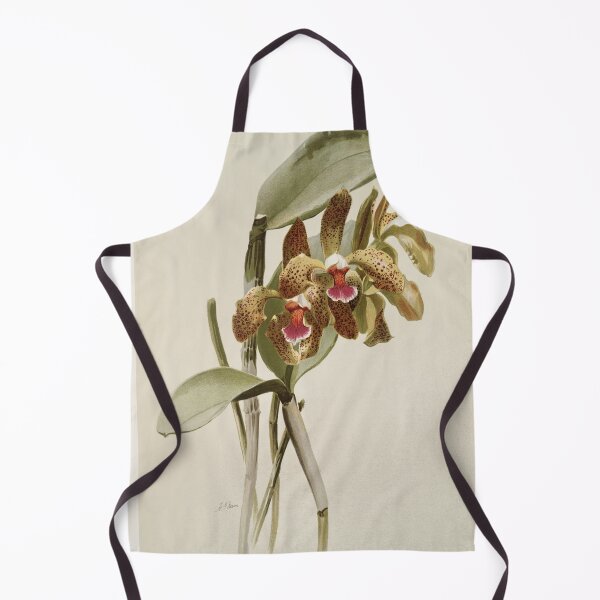 Item preview, Reichenbachia: Orchids Illustrated and Described designed and sold by EsotericBotanic.