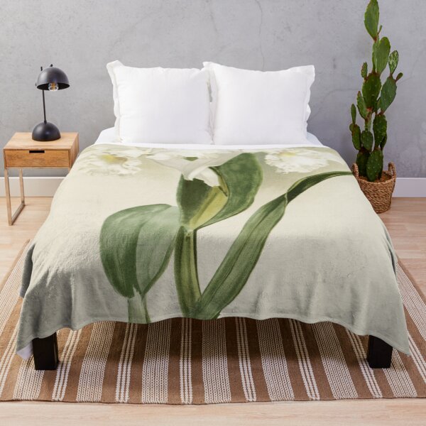 Item preview, Reichenbachia: Orchids Illustrated and Described designed and sold by EsotericBotanic.