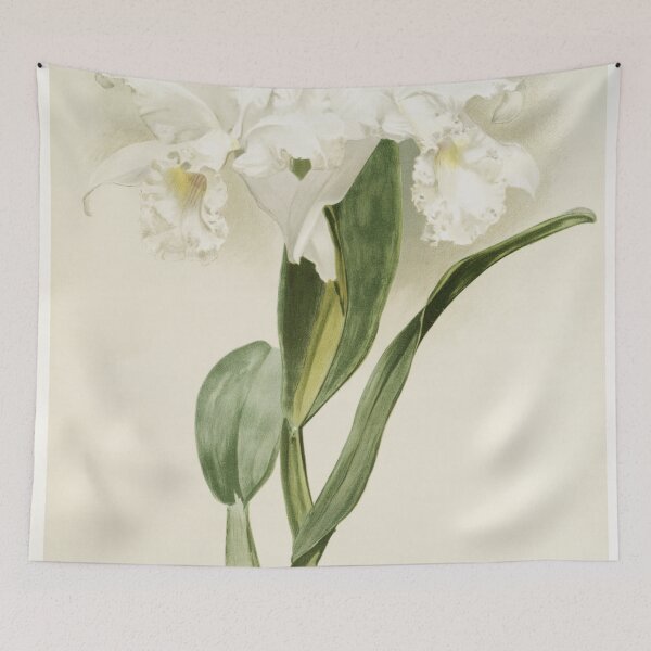 Item preview, Reichenbachia: Orchids Illustrated and Described designed and sold by EsotericBotanic.