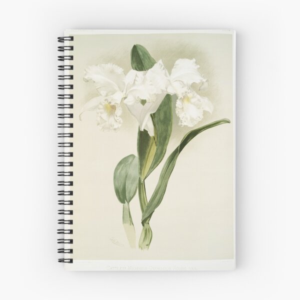 Item preview, Reichenbachia: Orchids Illustrated and Described designed and sold by EsotericBotanic.
