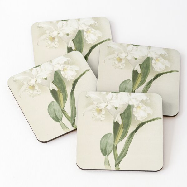 Item preview, Reichenbachia: Orchids Illustrated and Described designed and sold by EsotericBotanic.