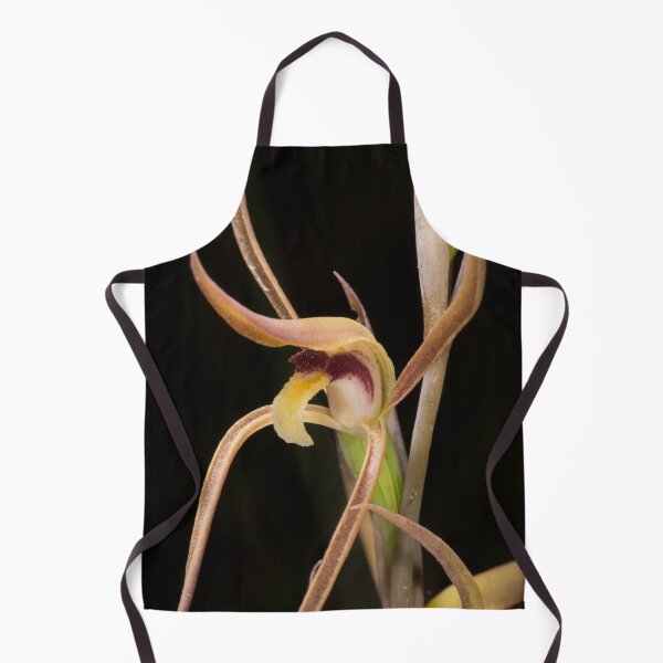 Item preview, Beaked Interest (Lyperanthus suaveolens) designed and sold by AlienMind.