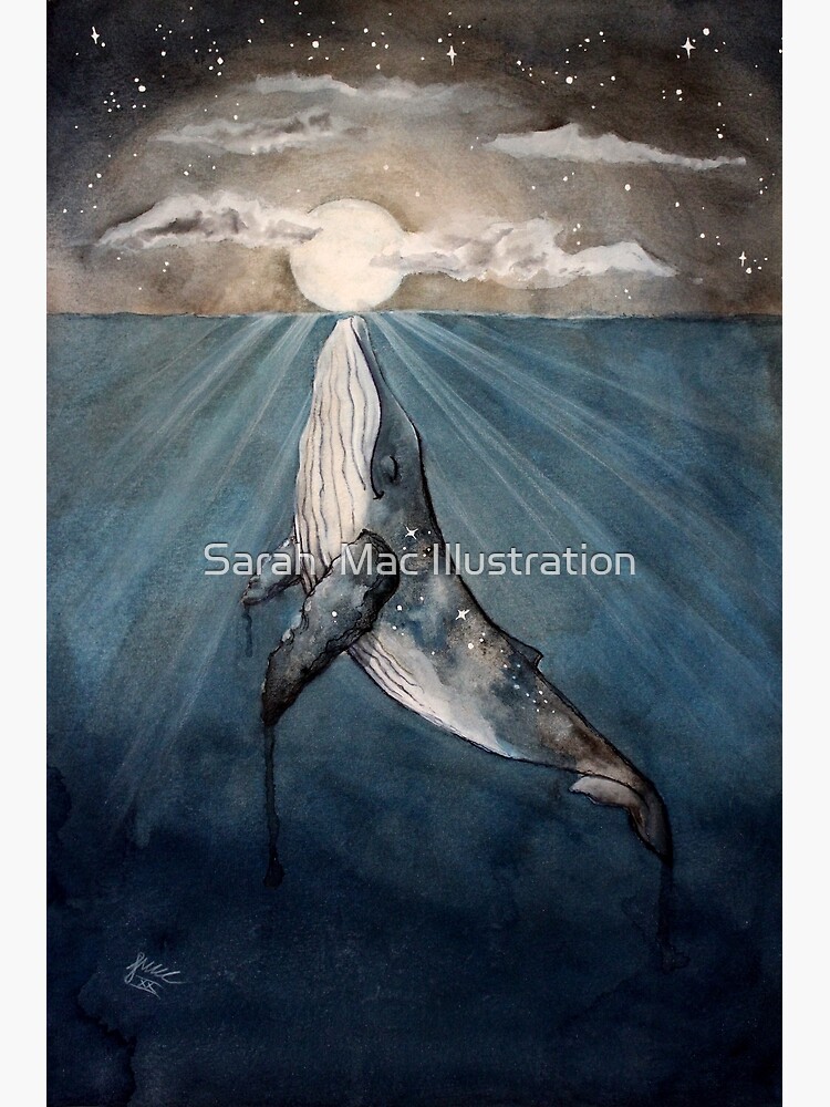 Thumbnail 3 of 3, Photographic Print, Starlight Song designed and sold by Artsez.