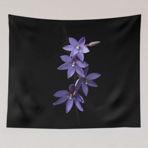 Item preview, Purple Prose (Thelymitra purpurata) designed and sold by AlienMind.