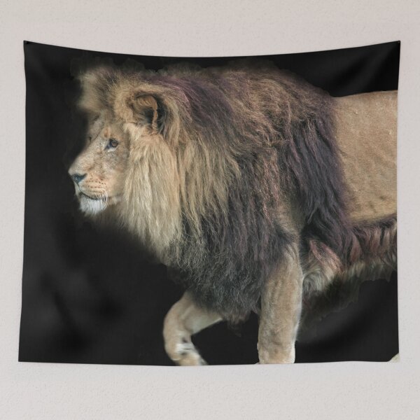 Item preview, Lion on Black designed and sold by Steven Jodoin.