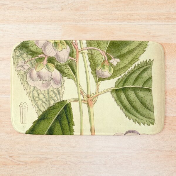 Item preview, Deinanthe caerulea 137 8373 designed and sold by EsotericBotanic.