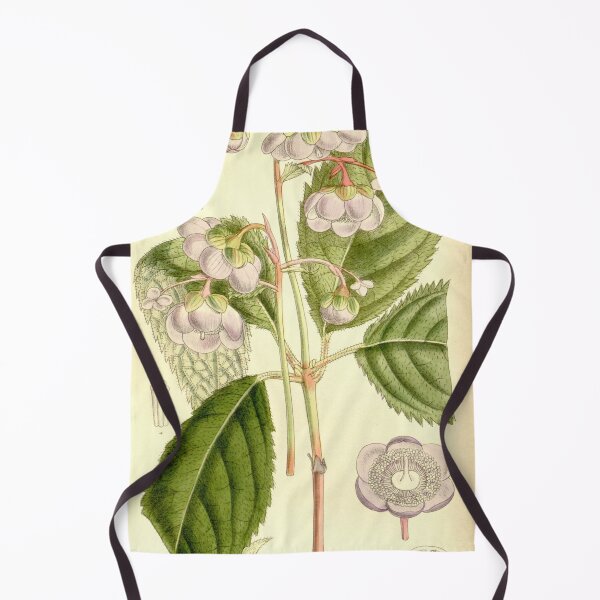 Item preview, Deinanthe caerulea 137 8373 designed and sold by EsotericBotanic.