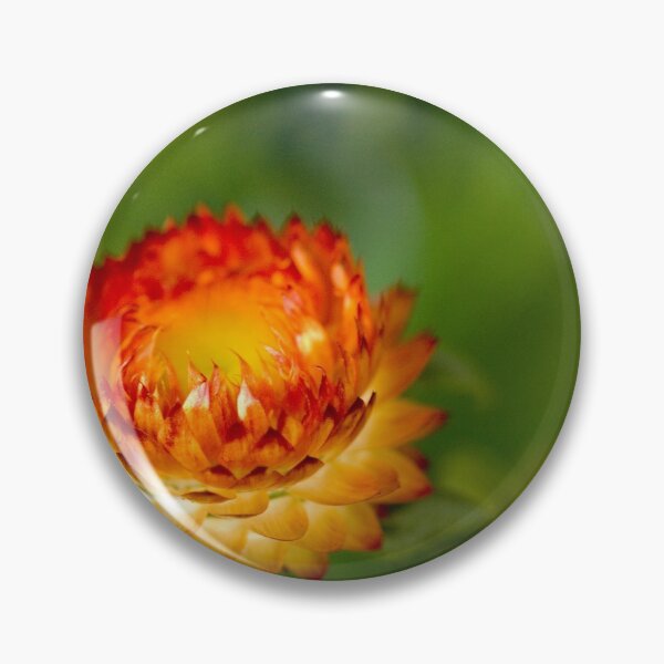 Item preview, Pop designed and sold by absolutemagik.