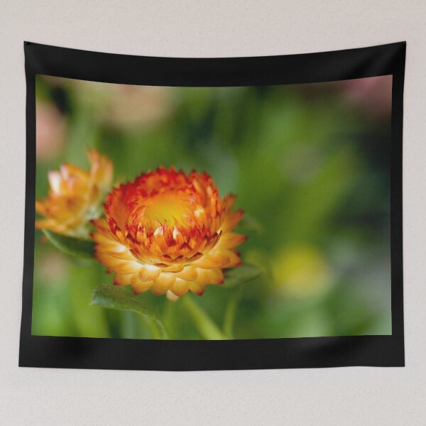 Item preview, Pop designed and sold by absolutemagik.