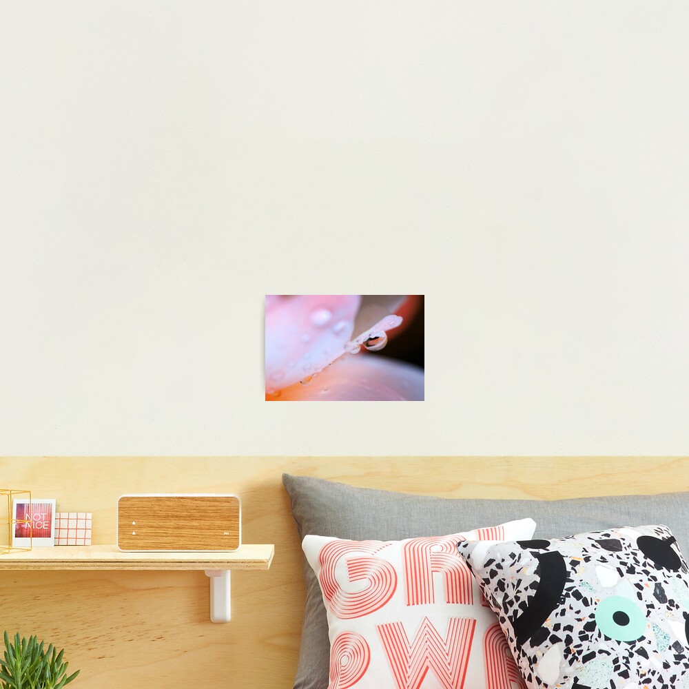 Item preview, Photographic Print designed and sold by SerialSnapper.