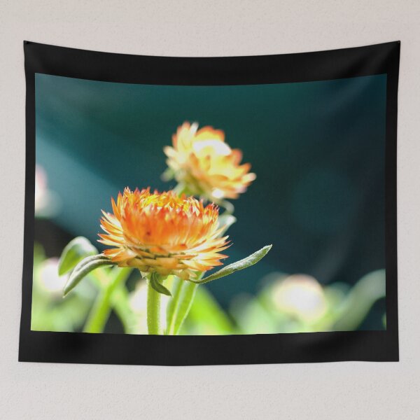 Item preview, Rays designed and sold by absolutemagik.