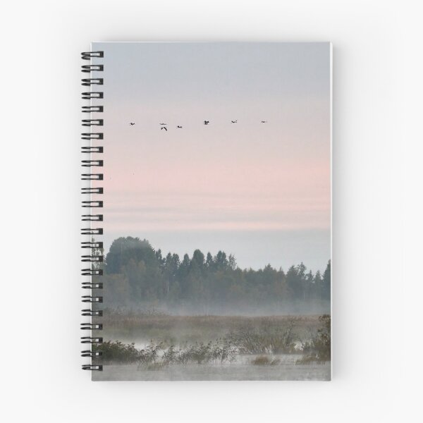Item preview, The cranes are flying south designed and sold by Jouko Lehto Photography.