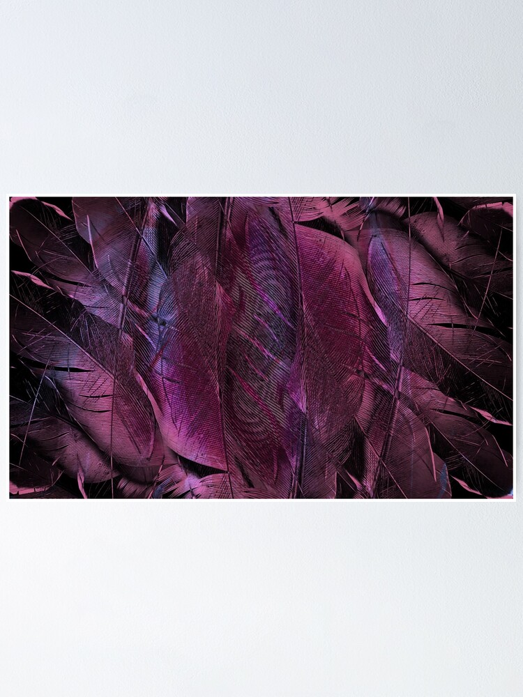 Poster Pink and Purple Feathers 