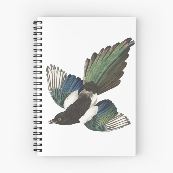 Item preview, Magpie by J.J. Audubon 1837 designed and sold by ebrawne.