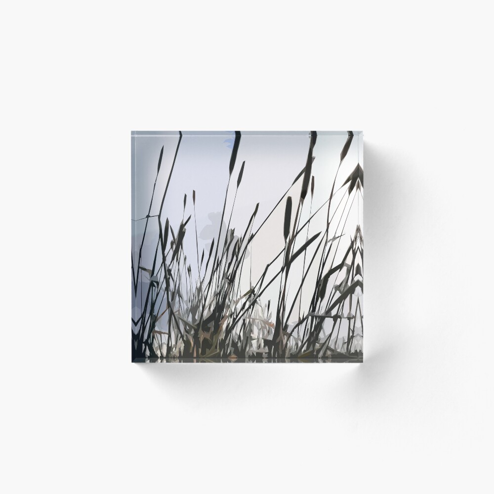 Item preview, Acrylic Block designed and sold by mn-imagerie.