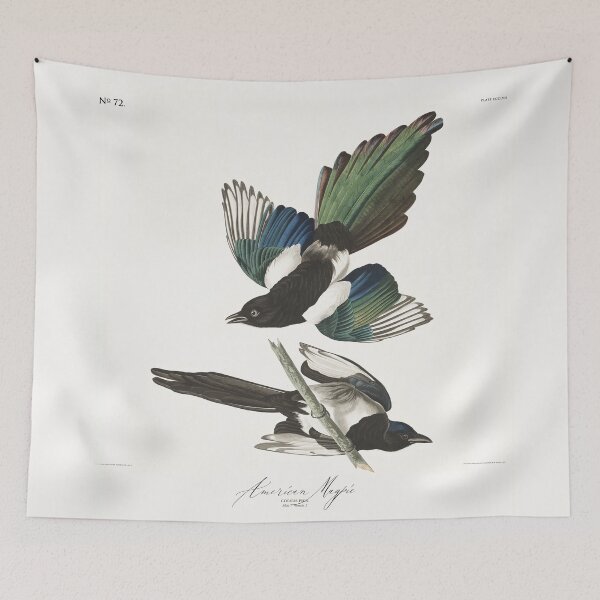 Item preview, Magpie by J.J. Audubon 1837 designed and sold by ebrawne.