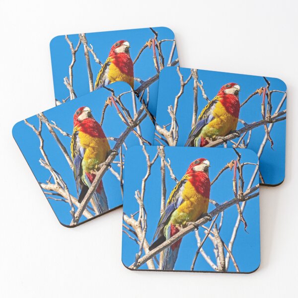 Item preview, Eastern Rosella designed and sold by Robert Elliott.