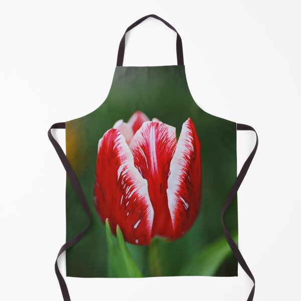 Item preview, Spring Red And White Tulip designed and sold by Joy Watson - Natural Light Photography .