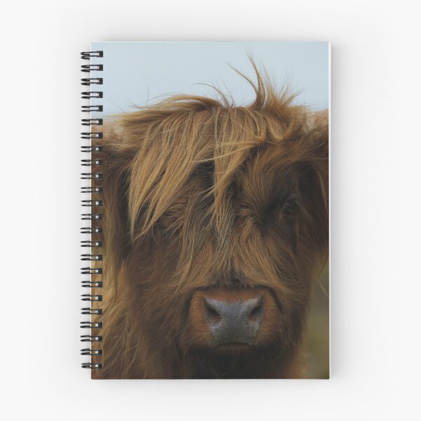 Item preview, Highland Cow Face designed and sold by rawshutterbug.