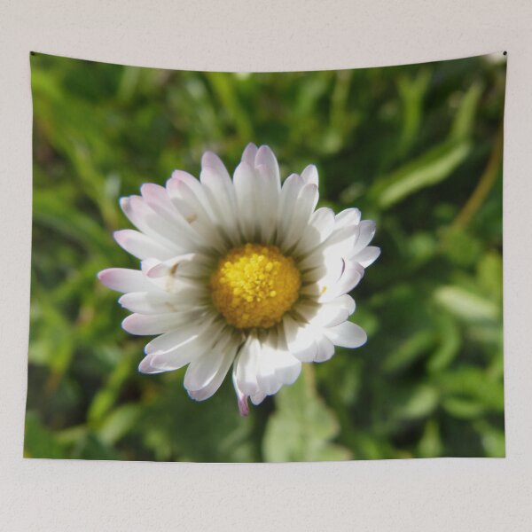Item preview, Daisy designed and sold by Tjaša Rome.