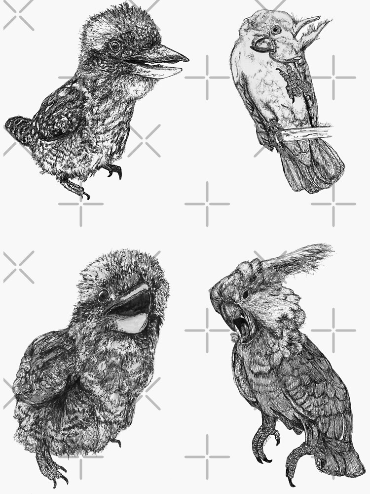 Sky 1 - Kookaburras and Cockatoos - 4 stickers by Wildcard-Sue