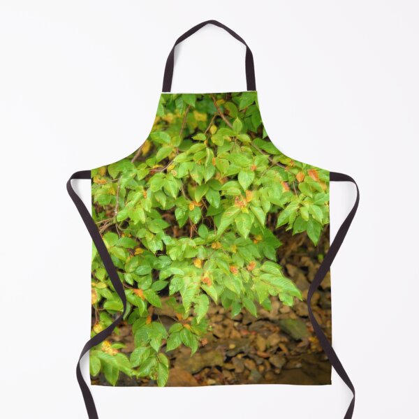 Item preview, Fall Sign 4 designed and sold by LynyrdSky.
