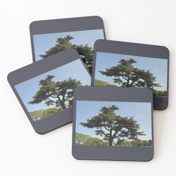 Item preview, Tree | Photography with a beautiful tree | UK designed and sold by aloresarts.