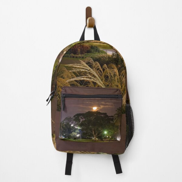 Item preview, Alexandra Gardens at Night designed and sold by ea-photos.