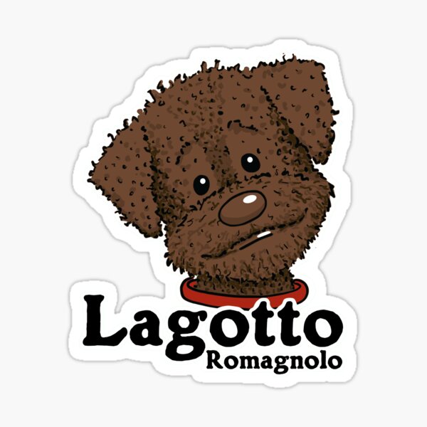 Lagotto Romagnolo braun Sticker