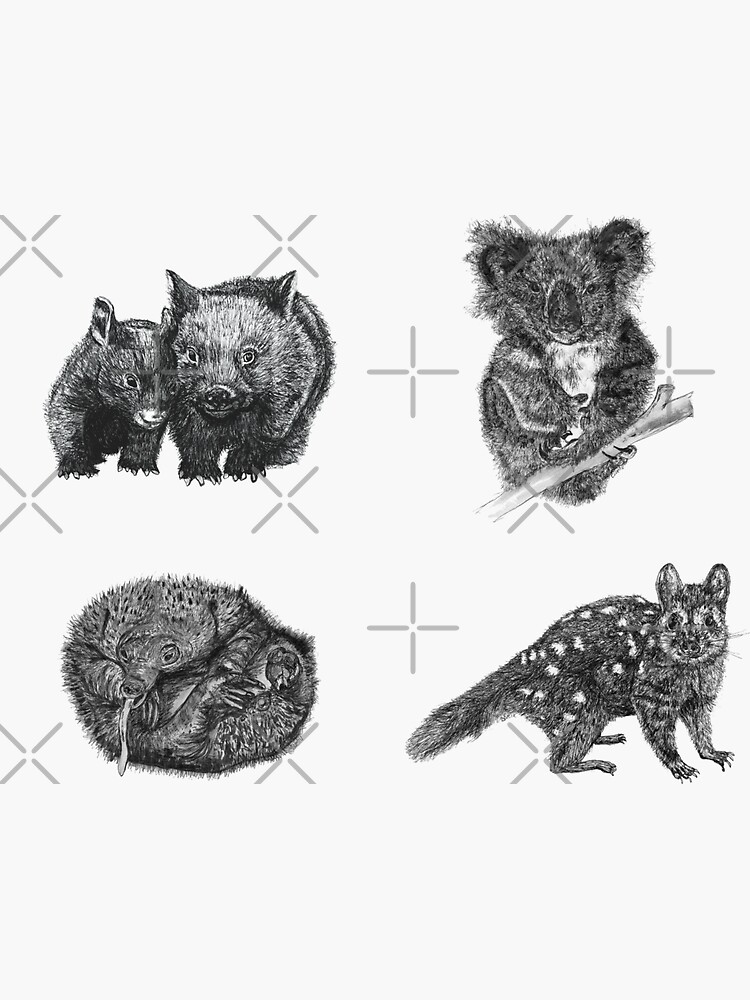 Land stickers 1- wombat, koala, echidna and quoll x 4 stickers by Wildcard-Sue