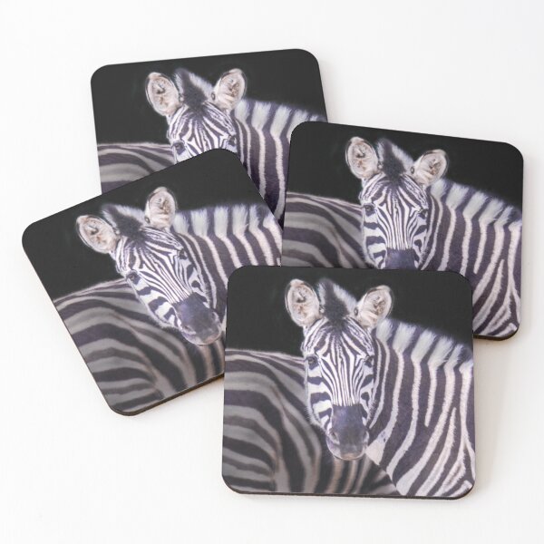 Item preview, Real B&W Zebra designed and sold by Steven Jodoin.