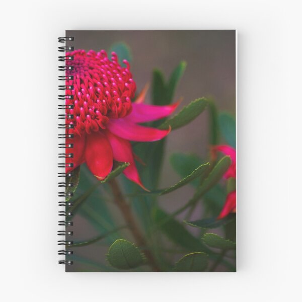 Item preview, NSW Waratahs designed and sold by dags.