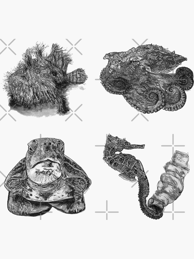 Sea 1 - Angler, Octopus, Turtle and Seahorse x 4 by Wildcard-Sue
