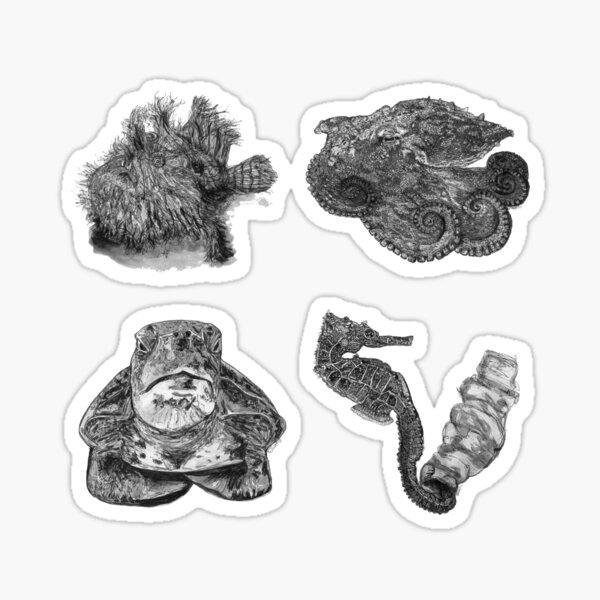 Sea 1 - Angler, Octopus, Turtle and Seahorse x 4 Sticker