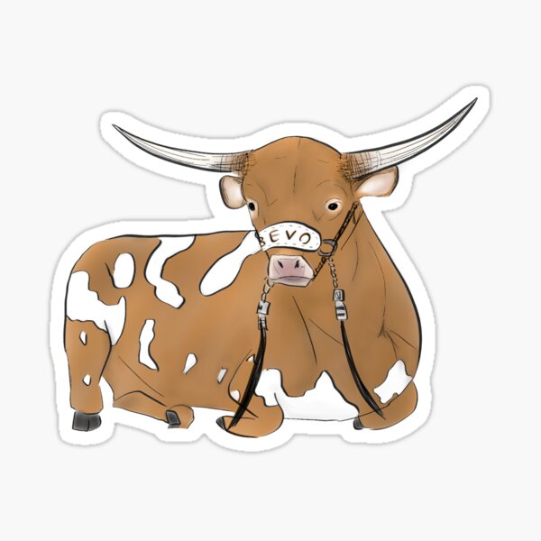 set 12 M University of Texas Texas Longhorns Baby "Hook EM" one piece 2
