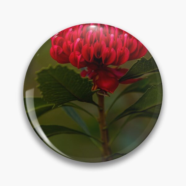 Item preview, Waratah designed and sold by dags.