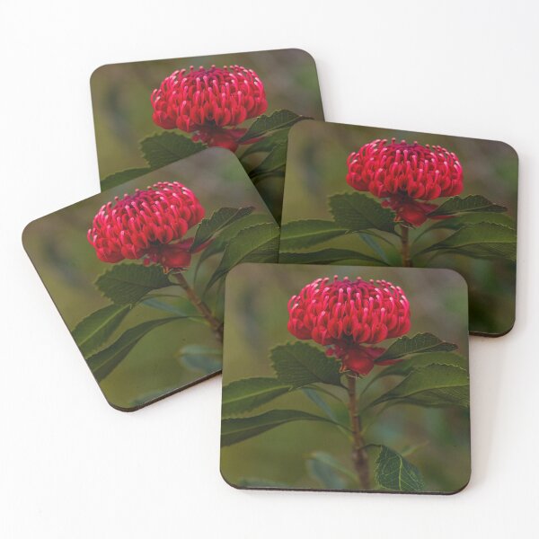 Item preview, Waratah designed and sold by dags.
