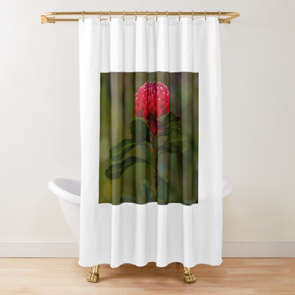 Item preview, Waratah designed and sold by dags.