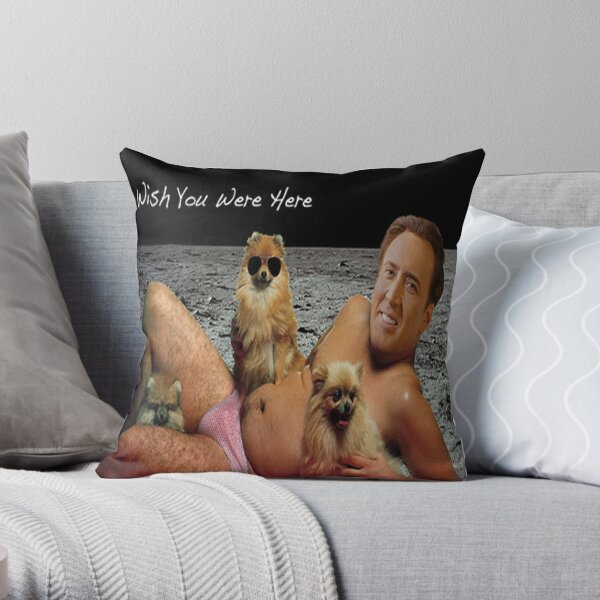 Nicolas cage hot sale pillow wish