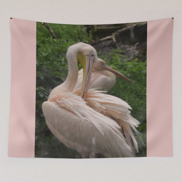 Item preview, Pink pelican Photography Edinburgh zoo designed and sold by aloresarts.
