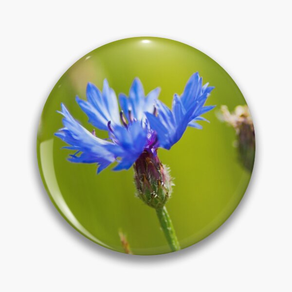 Item preview, Feeling blue designed and sold by Dominika Aniola.