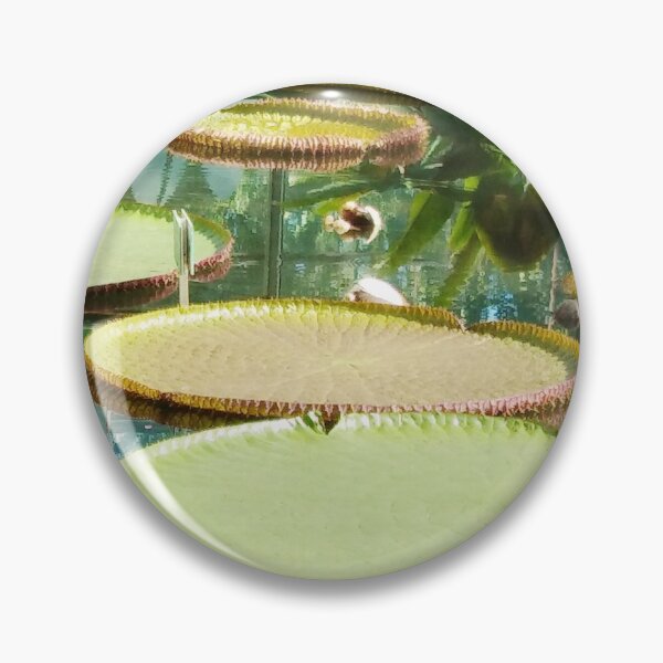Item preview, The Lily Pad Haiku, Nature Photography Poetry designed and sold by TheArtOfWords.