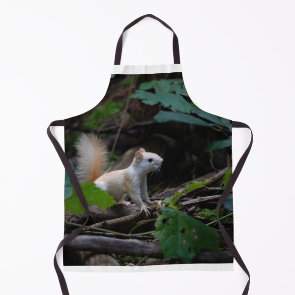 Item preview, Leucistic Red Squirrel in the forest designed and sold by James Cumming.