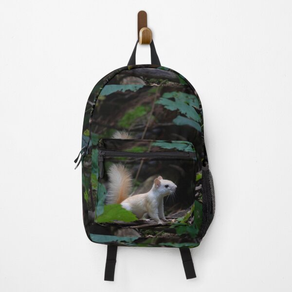 Item preview, Leucistic Red Squirrel in the forest designed and sold by James Cumming.